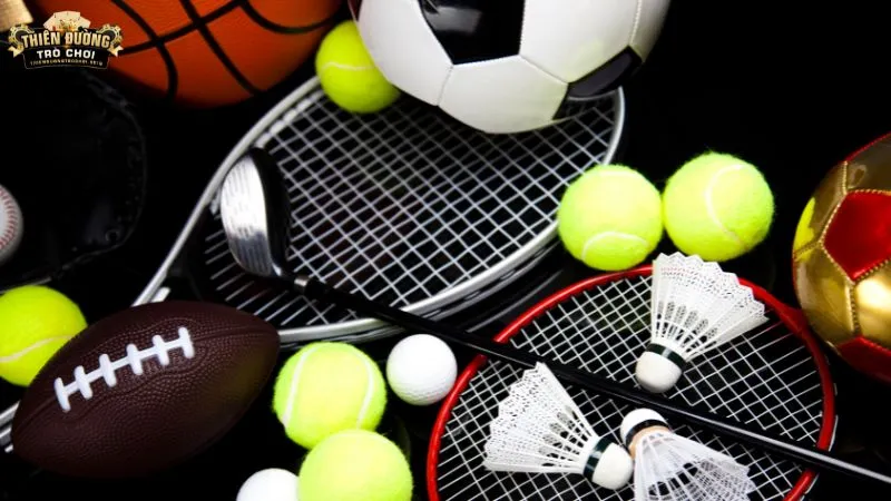 Danh mục sản phẩm nổi bật tại sảnh CMD Sports