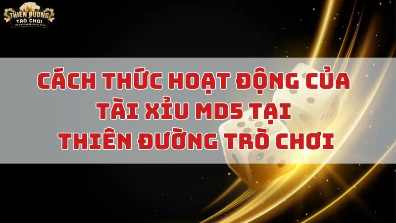 Tài Xỉu MD5