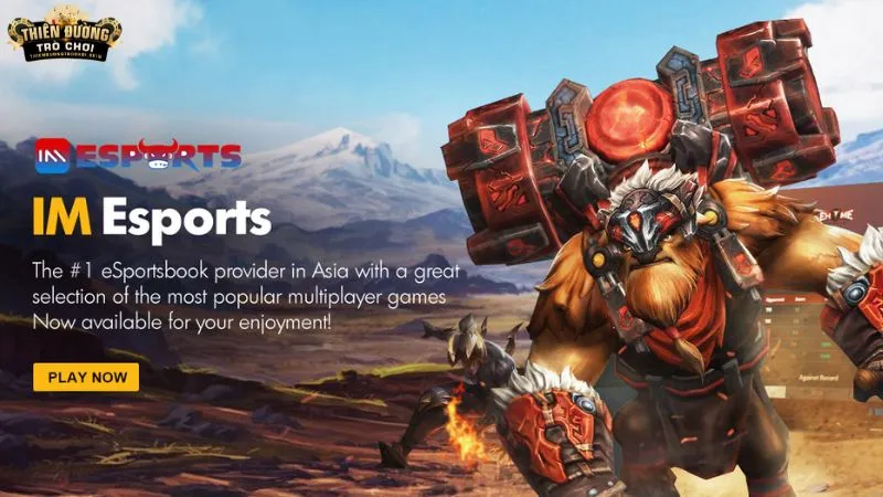 Tổng quan về sảnh IM E-Sports tại TDTC