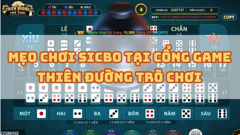 meo choi sicbo